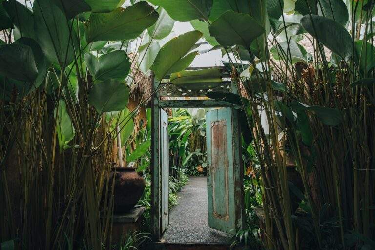 open wooden door and beautiful green plants in Bali